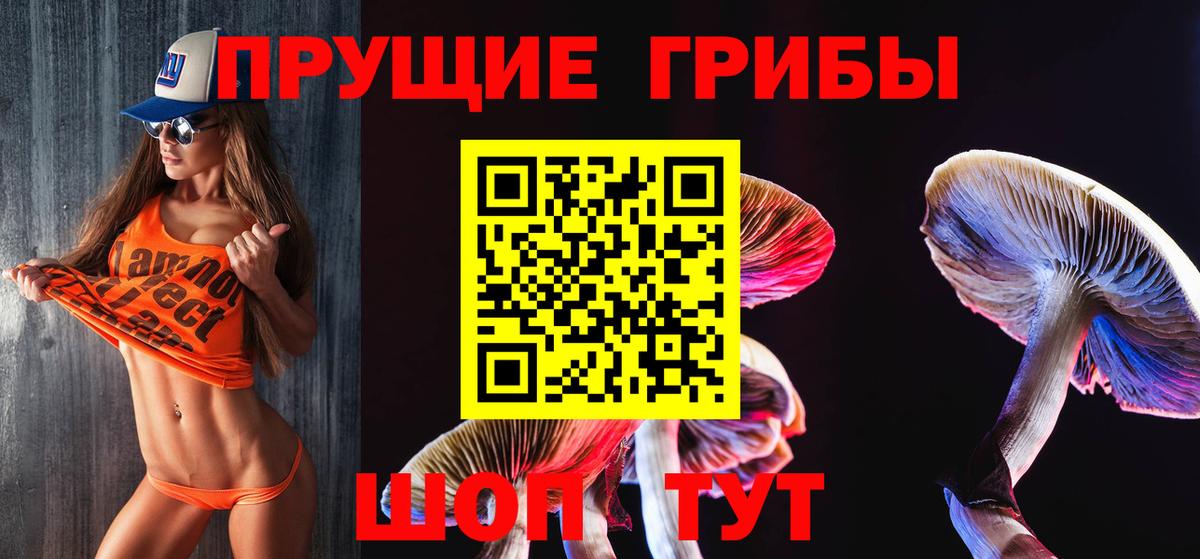 Псилоцибиновые грибы ЛСД Новокузнецк