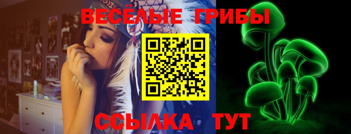 Псилоцибиновые грибы Magic Shrooms  Вход с VPN  Новокузнецк  Галлюциногенные грибы MAGIC MUSHROOMS 